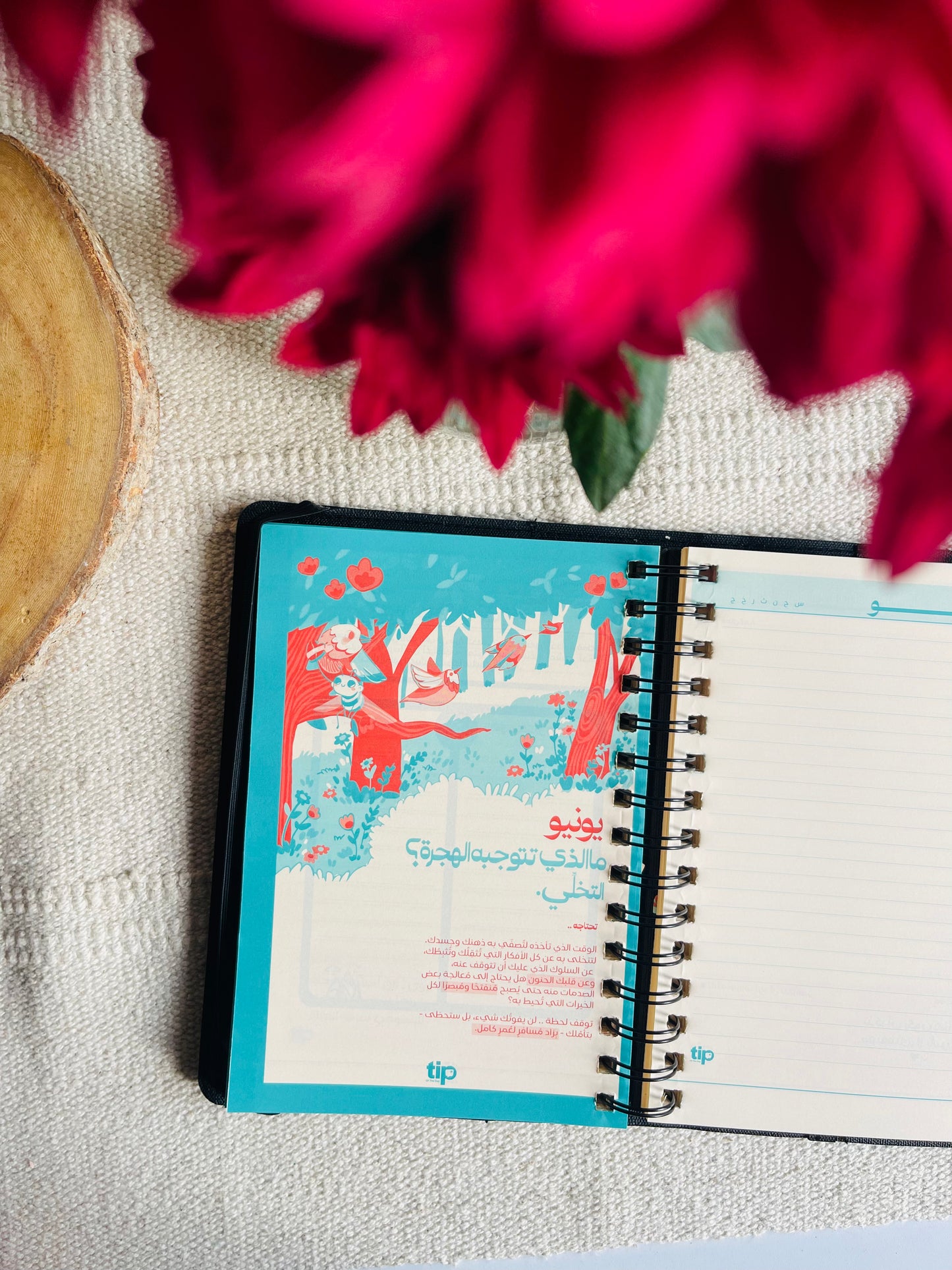 Leather spiral-bound agenda
