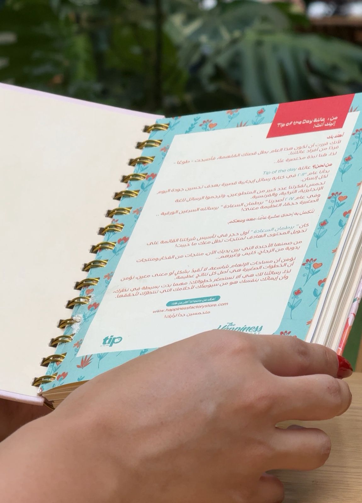 Your Next Destination – Planner