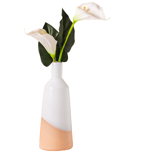 (Tall Bottle) Half-Dipped Pottery Vase
